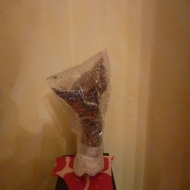 P1050288